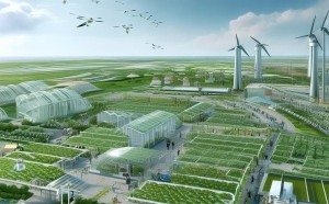 青岛生物谷，绿色农业与科技创新的新引擎